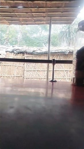 #piknik # tuntun yadev # happy new year # song 2026