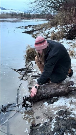 No bs foot hold with a beautiful beaver.