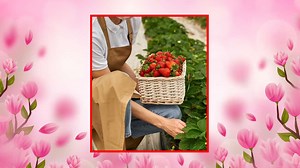 5 Fruits To Plant In Your Garden This Spring Season | Herzindagi