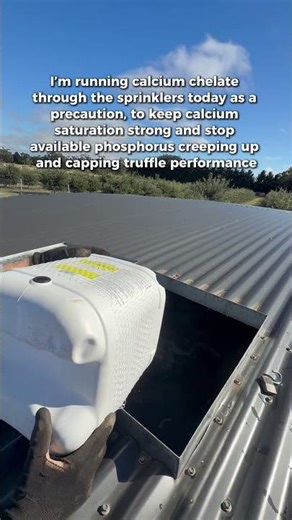 Why I Apply Calcium Chelate in a Truffle Orchard (Calcium Saturation vs Phosphorus)