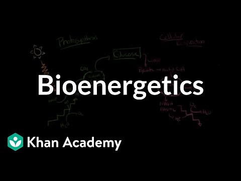 Bioenergetics: The transformation of free energy in living systems | MCAT | Khan Academy
