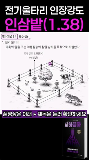 전기울타리 인장강도는 인삼밭!? #전기기사 #시하끝하 #전기설비기술기준 #전뿌 #전기울타리 #하이에듀