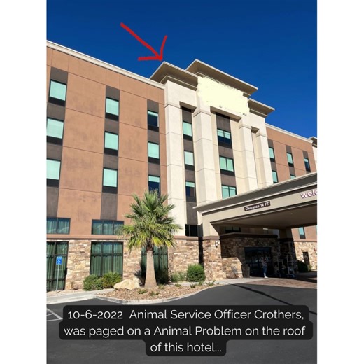 3.5K views · 139 reactions | This is just one example of a St. George Animal Shelter Officer going above and beyond for an animal in need. | St. George (Utah) Police Department | Facebook