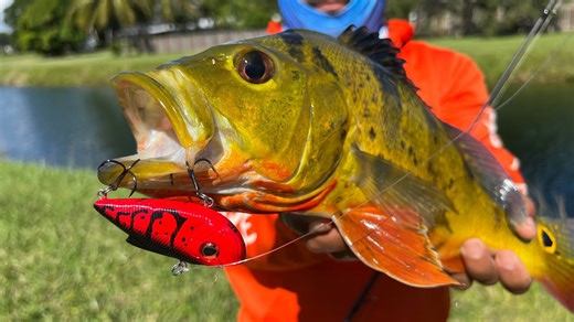 Fishing on top of a massive pipe with Monster Mike!
