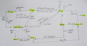 Chapter 13 - Organic