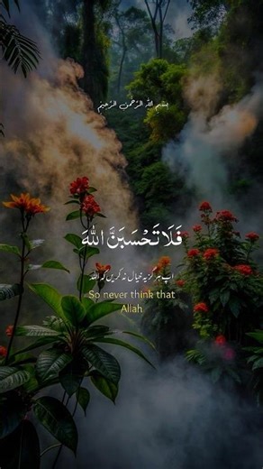 most beautiful Quran recitation | tilawat Quran recitation #quranrecording