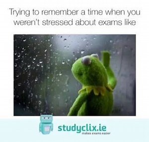8.3K views · 18 reactions | What no one tells you about the Leaving Cert - check out our blog here: https://goo.gl/gY67qW | Studyclix | Facebook