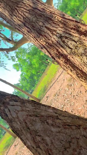 💞🫶💞….. #chhatia #odia #jajpur #m3subham #trending #viral #comedy | Shubham Roul