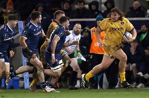 Two uncapped players added to first Bok virtual alignment camp