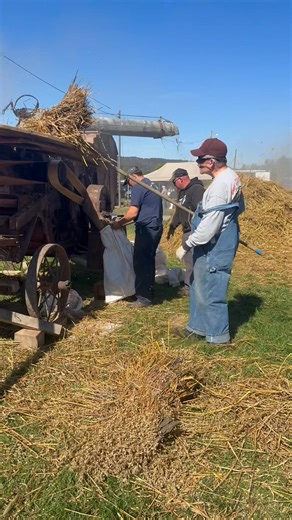 Currently on Machinery Hill we have the George White Steam Engine owned by WGHSEA and operated by Larry running a threshing machine operated by Dave, Stanley, Miles and Kirby. We also have the Frantz Family Case Engine powering the big threshing machine. The engine is being operated by Dave and Jason, with the threashing machine being fed by George and Pat. Come see these guys! | Grease, Steam, and Rust Association, Inc.