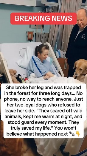 Woman Survives 3 Days in the Forest With a Broken Leg, Protected Only by Her Two Dogs: “They Saved My Life” 🐾💔 A woman was finally rescued after spending three long days stranded in a remote forest with a fractured leg. She owed her survival entirely to the loyalty of her two dogs. With no phone and no way to move, her dogs became her lifeline,keeping her warm through freezing nights and scaring away wild animals. “I wouldn’t be here today if it weren’t for them,” she admitted. And because the