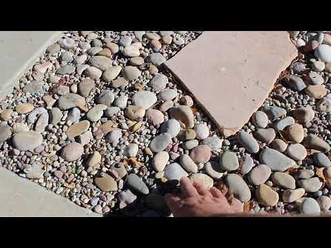 Great Pebble Design Mexican Beach Pebbles Buff x Pami Pebbles