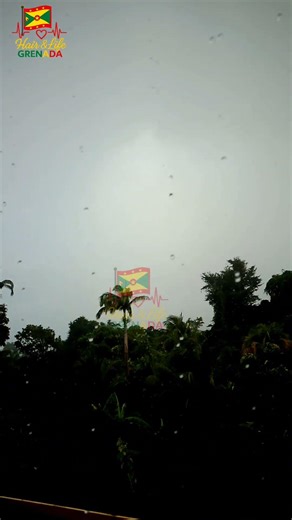 Rainy Day in St. John’s, Grenada 🌧️ | What’s It Like Where You Are?#WeatherToday #IslandLife