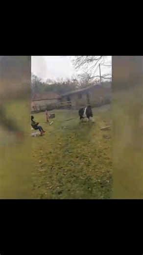 The art of lunging taught in a rather untraditional way, gosh I remember my collage day uniformed lunging lessons, I think the instructor would have heart failure at this.... 🤣😂 | The Pony Pals Family Storybooks