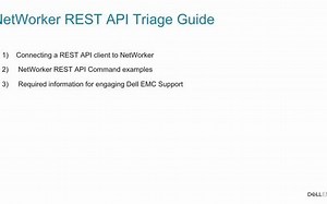 NetWorker REST API Triage Guide