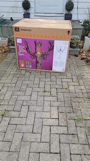 My newest spooky tree has arrived! #MurderousMaple from @The Home Depot is huge!!! Just some minor tweaks needed. #spookyseason #halloween2024 #halloween #spookyforest