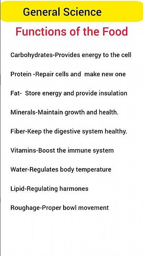 The Major functions of food|Food and it's functions