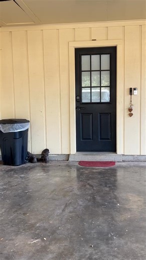 Demetris II-Clean Stewart on Instagram: "2Clean The Landlord Homeowner🏡Responsibilities, Short Film🎞️Episode Directed🎬By 2Clean Entertainment. Get Your Popcorn🍿Enjoy The Movie🎥!! #2CE👉🏽https://blinq.me/IAgbwjt4rye9tqiE5UIN #2LOVE"