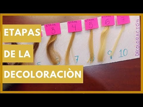 ETAPAS DE DECOLORACIÓN