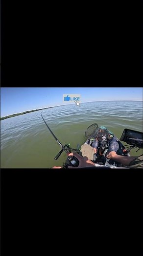 Spring Crappie SMASHING My Umbrella Rig on Lake Marion | SLAB Action! StrayCaster 2026