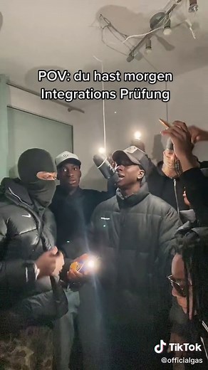 Wir sind össterreich🇦🇹#integration #fpö #austria #gasontotheworld #wien