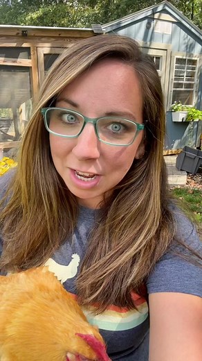 Understanding Chicken Crop Health: Tips and Tricks