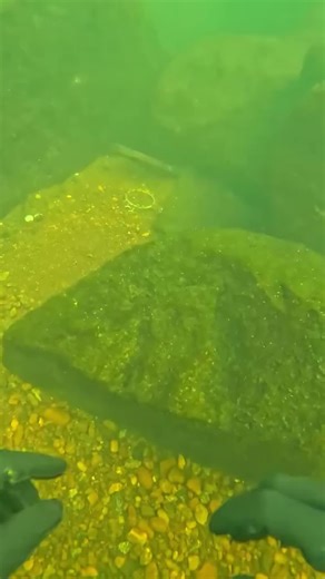 #treasure #scubadiving #underwater #fyp