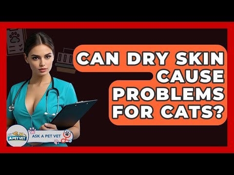 Can Dry Skin Cause Problems For Cats? - Ask A Pet Vet
