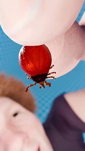 If You Swallow A Tick 😦 ( Animation Meme ) | Fable Forger