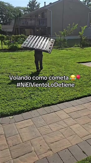 Franco’s Tree & Landscaping on TikTok