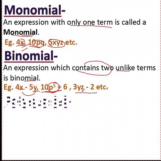 Monomial and Binomial with examples #brightiqclass6and7