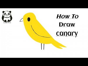 How to draw canary step by step/easy/for kids