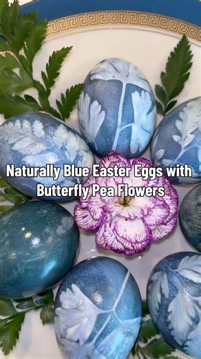 Naturally Blue Easter Eggs with Butterfly Pea Flowers #shorts #youtubeshorts