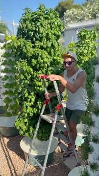 This is what it takes to run a vertical farm outdoors year round #farming #agriculture #gardening