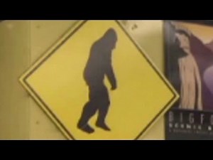 DNA evidence proves Big Foot is real?
