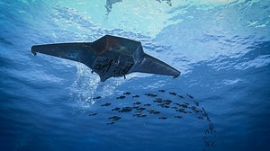 They built a manta ray drone - and it’s the deadliest yet