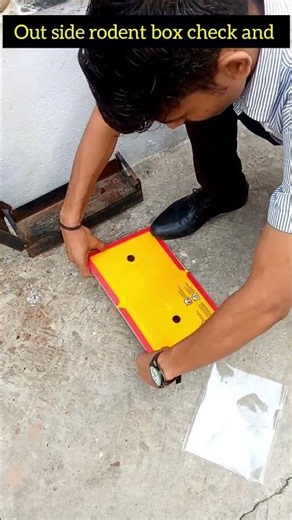 Outside Areas Rodent Box Check | Rodent Monitoring & Pest Control 🐀#RodentControl