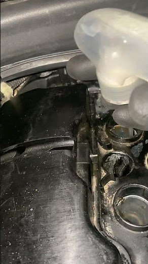 How To Remove Oil From Spark Plug Well The Right Way No Special Tools