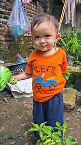alfan anak yang rajin #funny #shorts