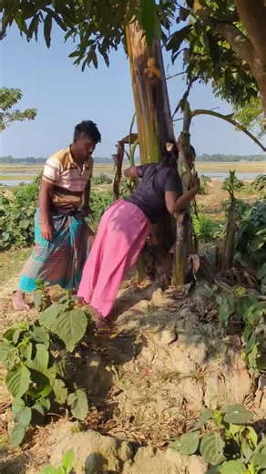 Salma Batool (@salma.batool40)’s videos with original sound - Salma Batool