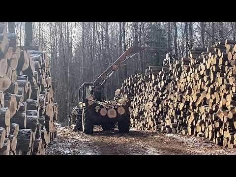 Logging in Northern Wisconsin - Iron Mule Forwarder - The Old School Way