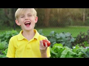 FarmDaddy Self Watering Garden Container "How It Works"