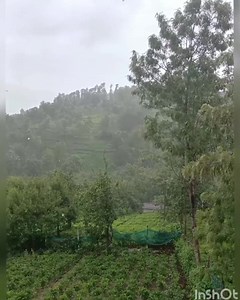 Rainy nilgiri | Beautiful nilgiri