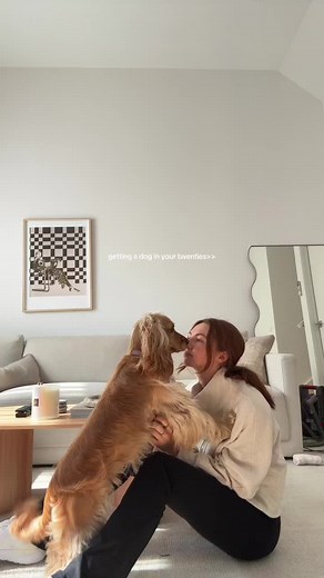 Dog Love Of My Life - English Cocker Spaniel