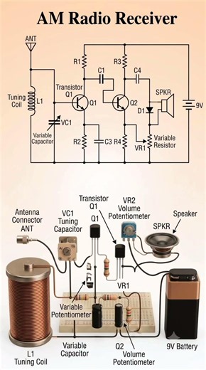 Simple AM Radio Circuit Diagram 📻 | DIY Electronics #shorts