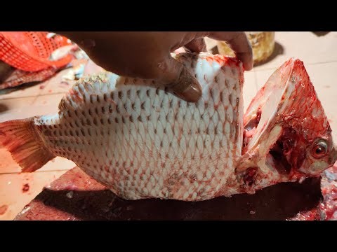 Rakib fish official is live!💗 b grade fish cutting style desi cutting style Bangladesh ranga mati 🐟💗