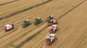 4.8K views · 606 reactions | Amazing aerial view of the summer harvest in China! #farming #agriculture #China #lifeinChina #vibrantChina #amazingchina | HustleBustle_China | Facebook