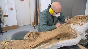 When dinosaurs roamed Saskatchewan