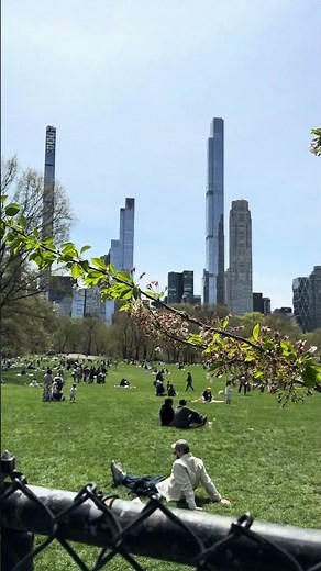 Central Park in Spring: Unforgettable Colors and Flowers ، New York City 🇺🇲 #newyorkcity #usa