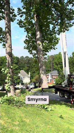 Emergency Tree Removal in Atlanta GA | Castor Tree Service